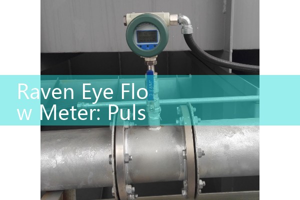 Raven Eye Flow Meter: Pulsar Non-Contacting Radar Open Channel Monitors